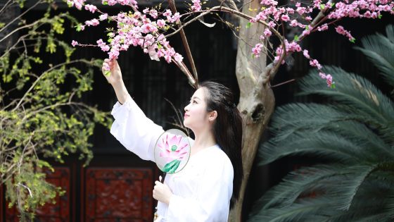 国产古装剧精彩剧情截图，演员身着华丽服饰在古典庭院中对话，光线柔和，构图精美，历史氛围浓厚
